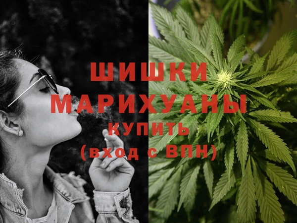 прущие крисы Аркадак