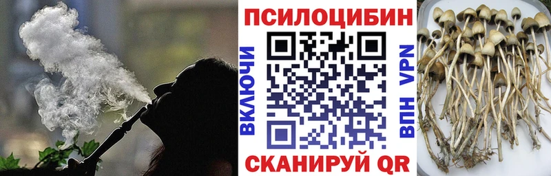 Псилоцибиновые грибы Psilocybe  Ростов 